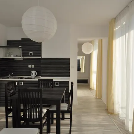 酒店 精品套房彩虹4酒店 3*